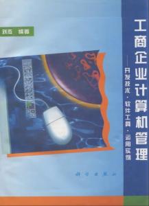 工商企業(yè)計算機管理軟件開發(fā)技術(shù)與實踐——以江西企業(yè)為例